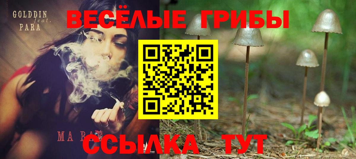 Нижний Тагил  Галлюциногенные грибы мухоморы  Вход с VPN 