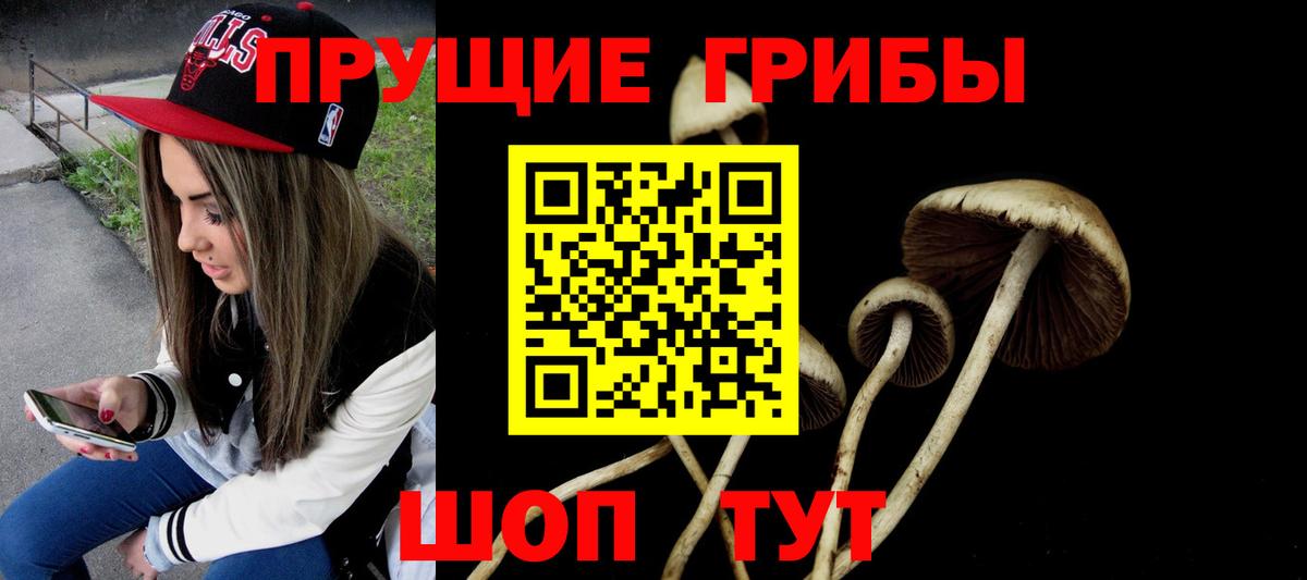 Псилоцибиновые грибы мухоморы Нижний Тагил