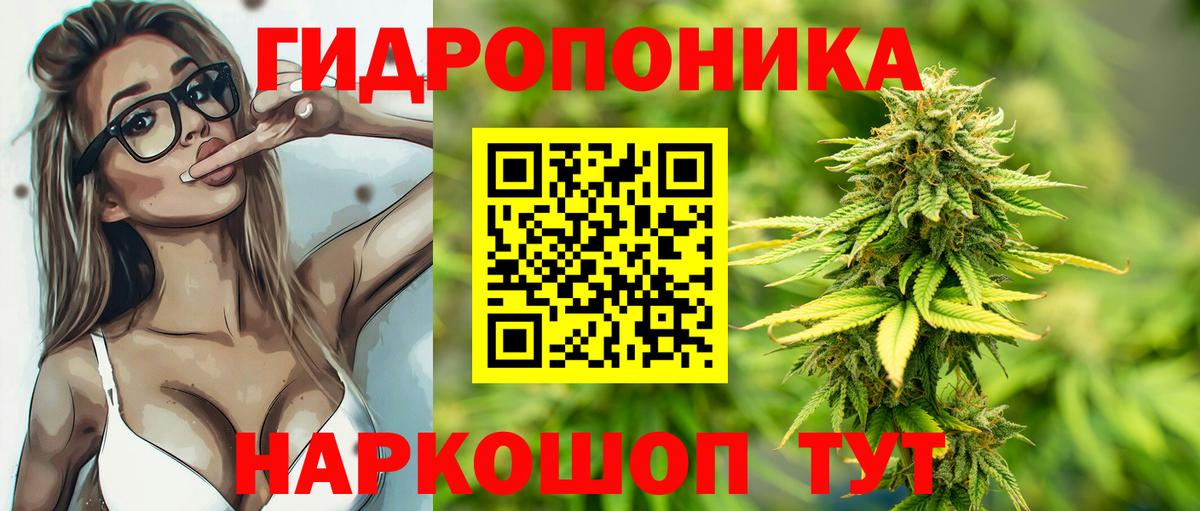 Бошки Шишки сатива  Вход с VPN  Конопля сатива  Каннабис сатива  Нижний Тагил 